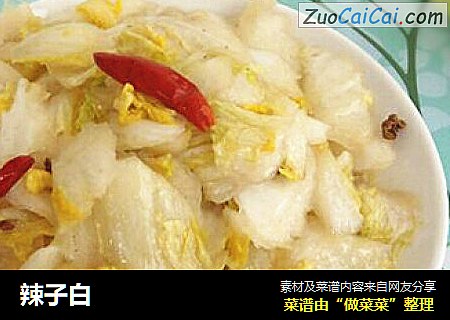 辣子白