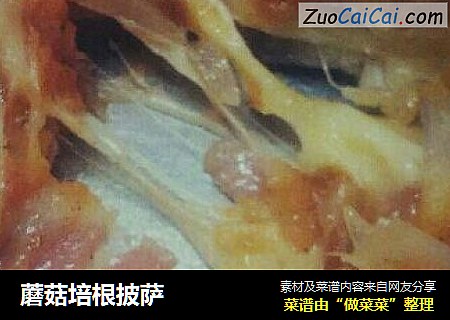 蘑菇培根披萨