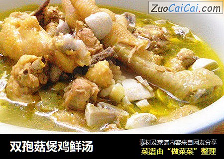 双孢菇煲鸡鲜汤