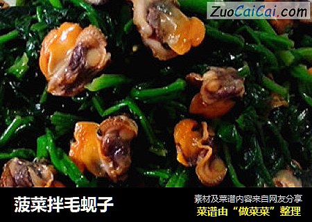菠菜拌毛蚬子