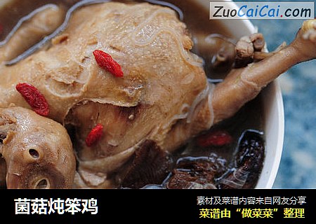 菌菇炖笨鸡