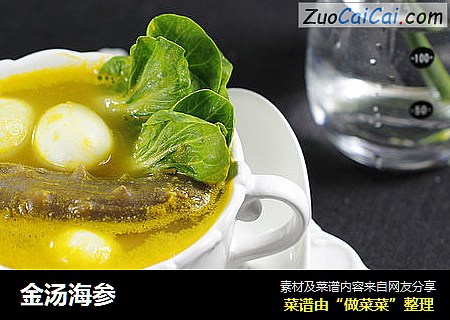 金汤海参