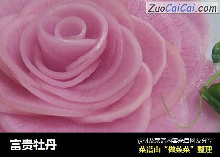 富贵牡丹
