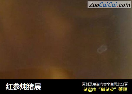 红参炖猪展