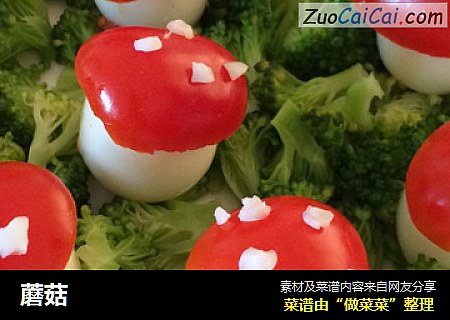 蘑菇