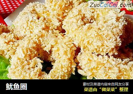 鱿鱼圈