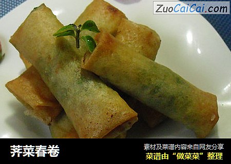 荠菜春卷