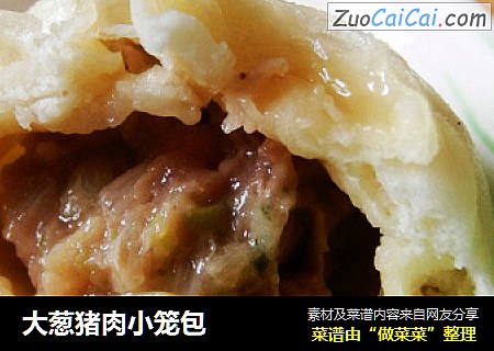 大葱猪肉小笼包