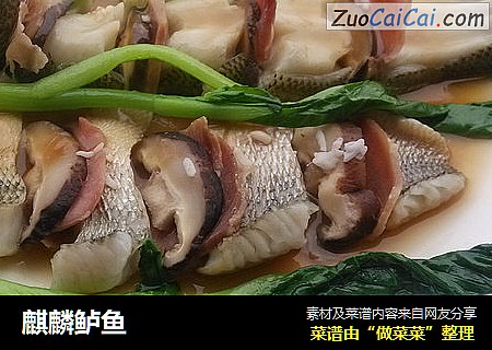 麒麟鲈鱼