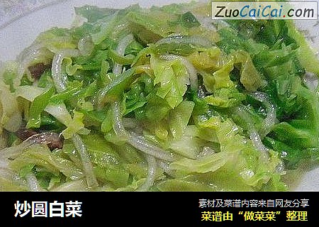 炒圆白菜
