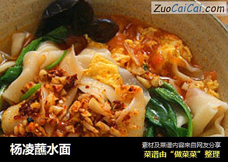 杨凌蘸水面