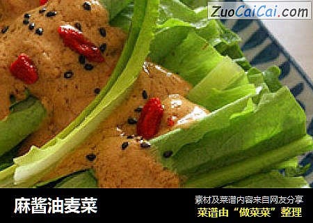 麻酱油麦菜
