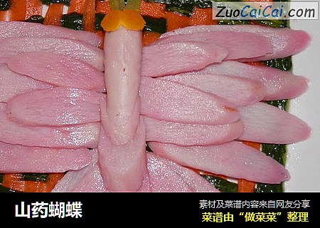山药蝴蝶