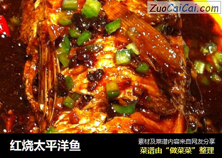 红烧太平洋鱼