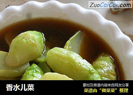 香水儿菜