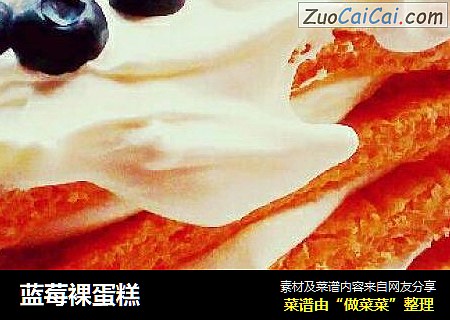 蓝莓裸蛋糕