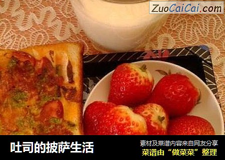 吐司的披萨生活