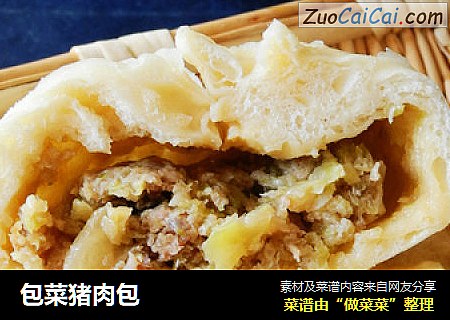 包菜猪肉包