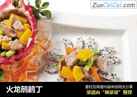 火龙鸸鹋丁