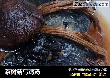 茶树菇乌鸡汤