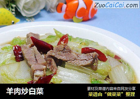 羊肉炒白菜