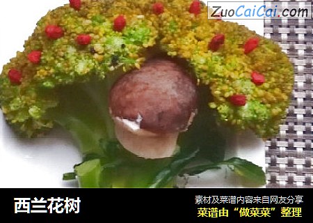 西兰花树