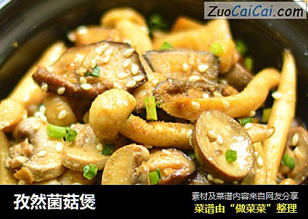 孜然菌菇煲