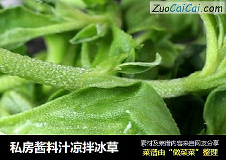 私房酱料汁凉拌冰草