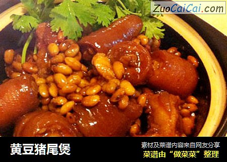 黄豆猪尾煲