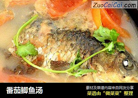 番茄鲫鱼汤