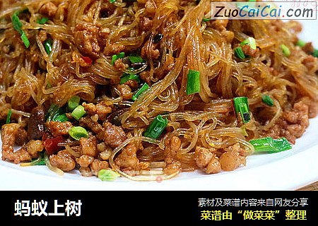 蚂蚁上树