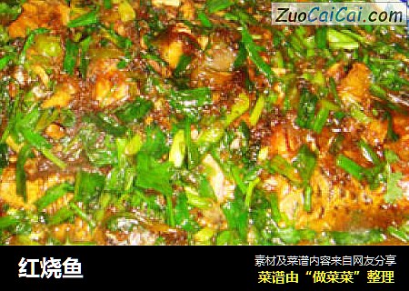 红烧鱼