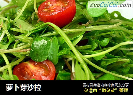 萝卜芽沙拉