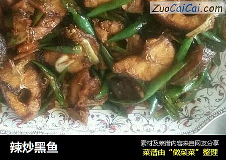 辣炒黑鱼
