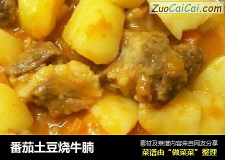番茄土豆烧牛腩
