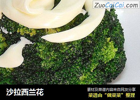 沙拉西兰花