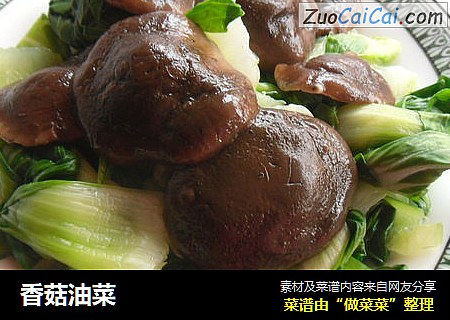 香菇油菜