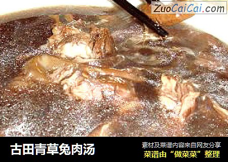 古田青草兔肉汤