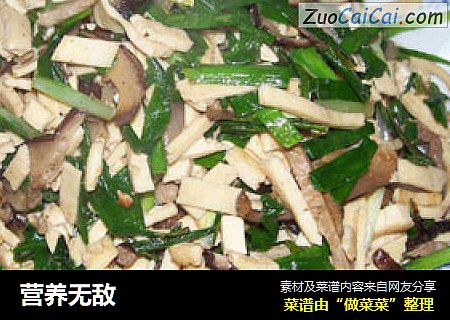 营养无敌