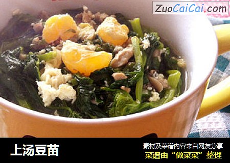 上汤豆苗