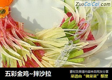 五彩金鸡~拌沙拉