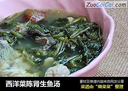 西洋菜陈肾生鱼汤