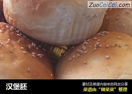 汉堡胚