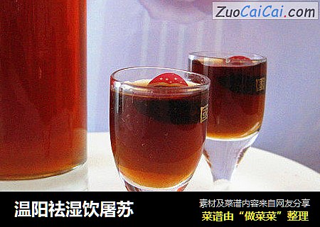 温阳祛湿饮屠苏