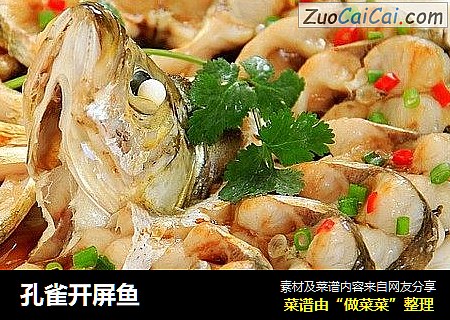 孔雀开屏鱼