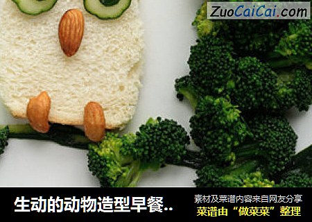 生动的动物造型早餐，夜晚的猫头鹰