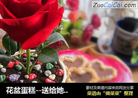 花盆蛋糕--送给她（他）的情人节礼物