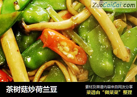 茶树菇炒荷兰豆