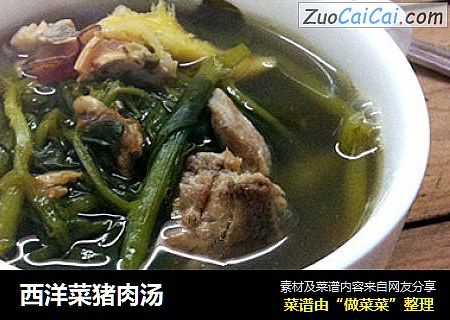 西洋菜猪肉汤