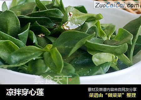 凉拌穿心莲